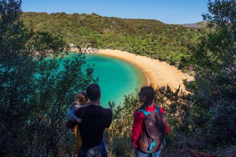 Abel Tasman National Park: Cruise and Hike Full-Day Tour - What We Loved About the Tour