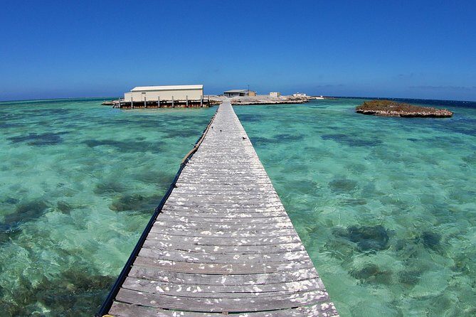 Abrolhos Islands 5 Day Cruise - Practical Details & What It Means for Your Trip
