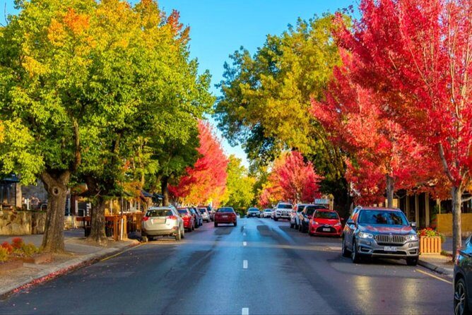 Adelaide City Highlights- Mt. Lofty & Hahndorf Half-Day Tour - Value for Money and Considerations