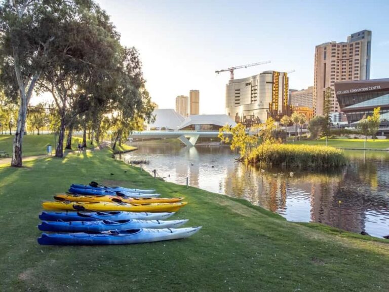 Adelaide: City Kayaking Experience - Why Choose This Experience?