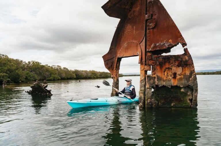 Adelaide: Dolphin Sanctuary Eco Kayaking Tour - Who Will Love This Tour?