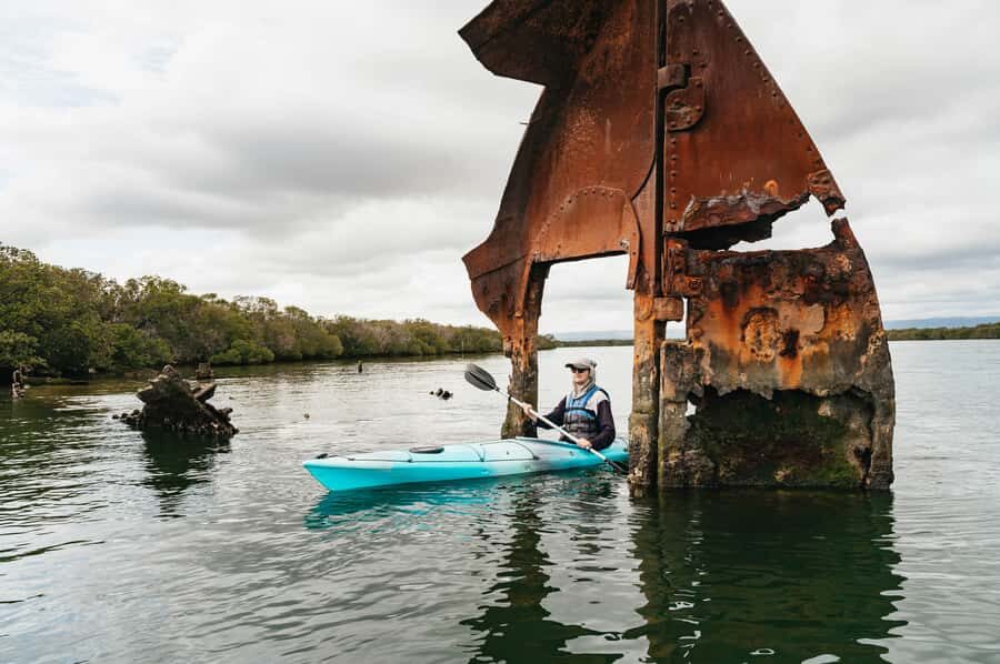 Adelaide: Dolphin Sanctuary Eco Kayaking Tour - Who Will Love This Tour?