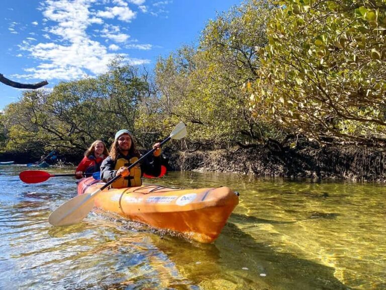 Adelaide: Dolphin Sanctuary Single or Double Kayak Rental - What Makes This Experience Stand Out?