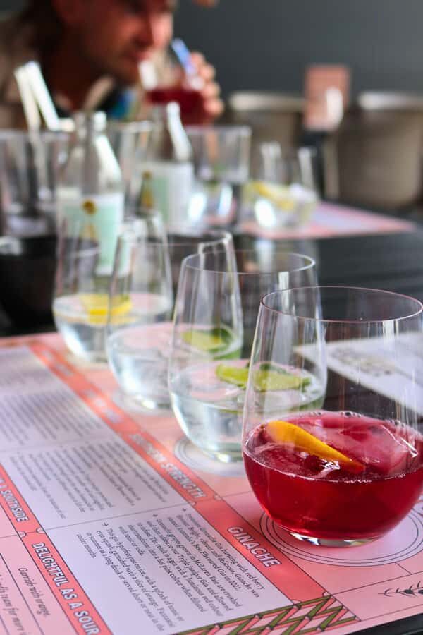 Adelaide: Fleurieu Rock Climb & Gin Tasting - What to Expect and Practical Details
