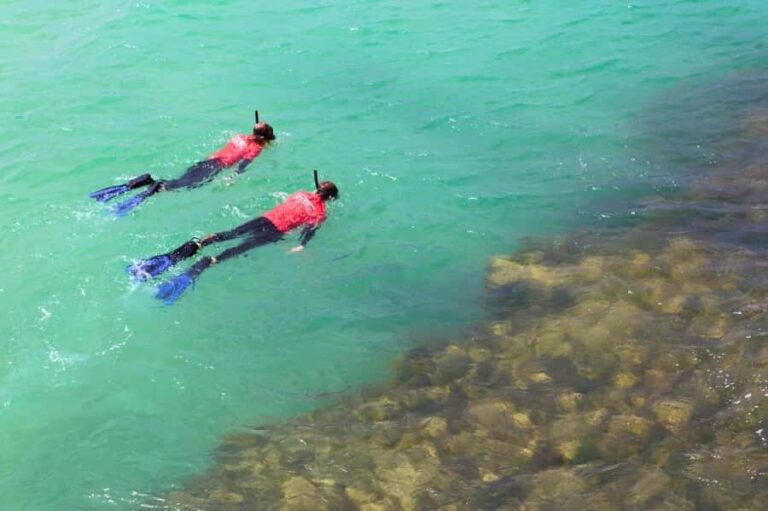 Adelaide: Fleurieu Snorkel & Beer Safari - Who Might Want to Skip This Tour?