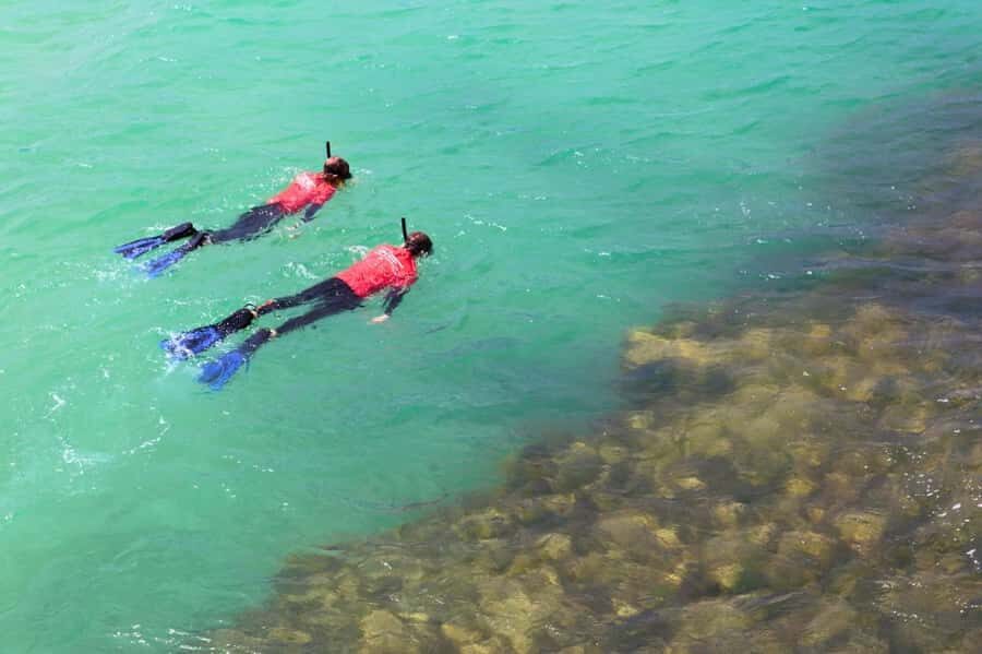 Adelaide: Fleurieu Snorkel & Beer Safari - Who Might Want to Skip This Tour?