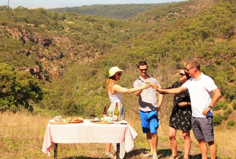 Adelaide: Fork & Grape Safari 4WD Tour - What to Expect from the Tour