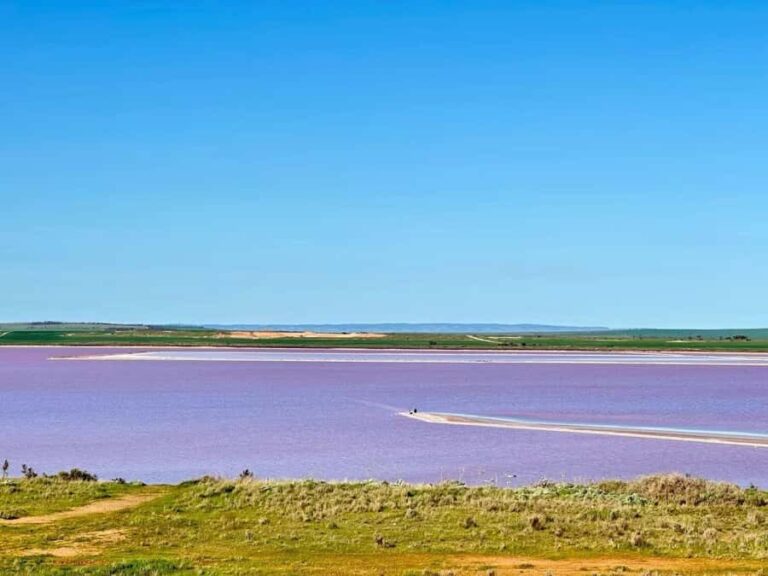 Adelaide Highlights: Wine, Whispering Wall & Pink Lake Tour - What makes this tour stand out?