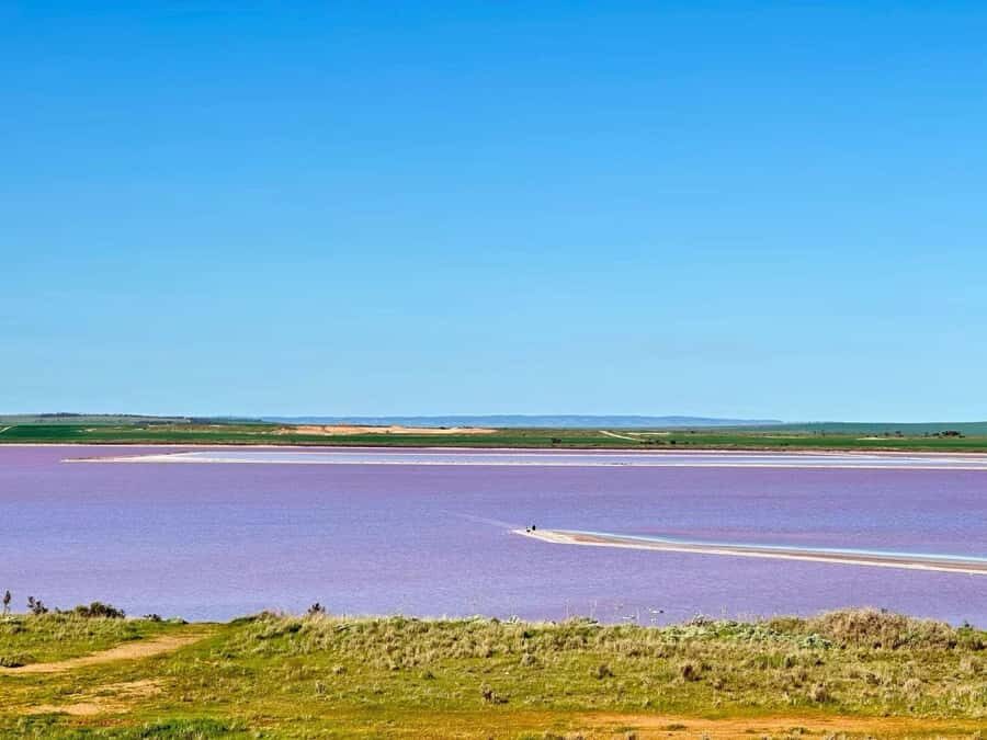 Adelaide Highlights: Wine, Whispering Wall & Pink Lake Tour - What makes this tour stand out?