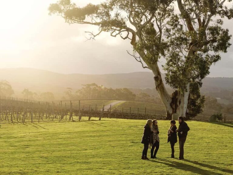 Adelaide Hills & Hahndorf: Hop-On Hop-Off Tour - Authentic Experiences and Real Opinions