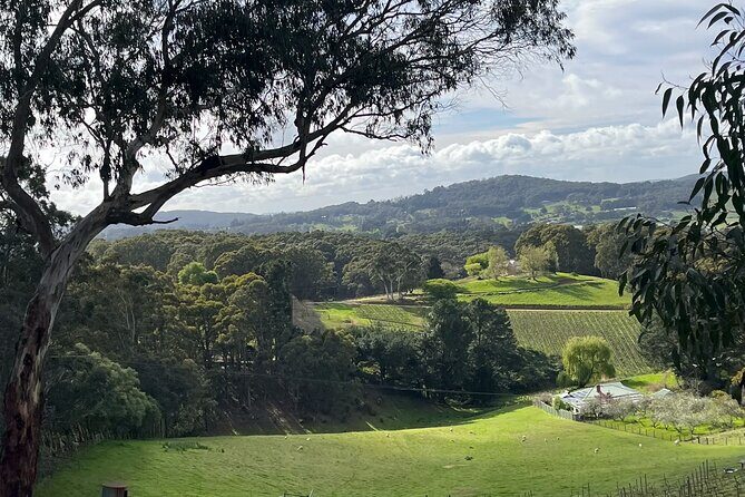 Adelaide Hills Nature Highlights Self-Guided e-Bike Tour - Practical Details and Value