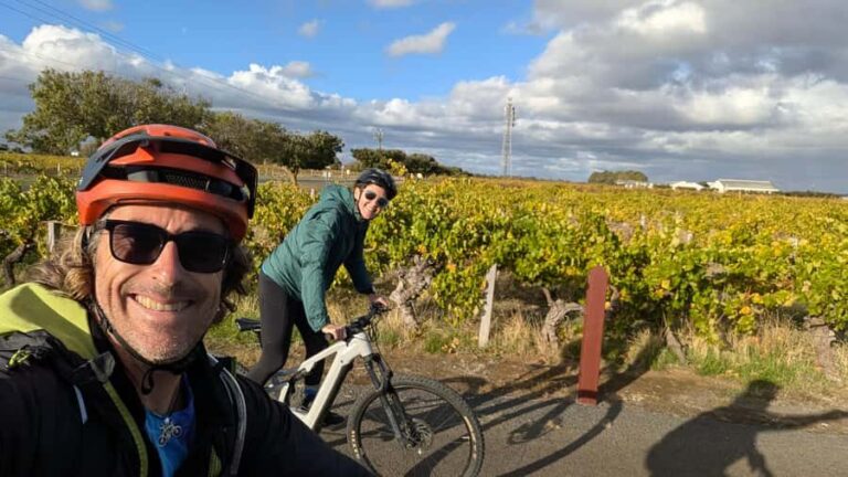 Adelaide Hills: Self-guided E-Bike wine tour with Lunch - Authentic Insights from Travelers