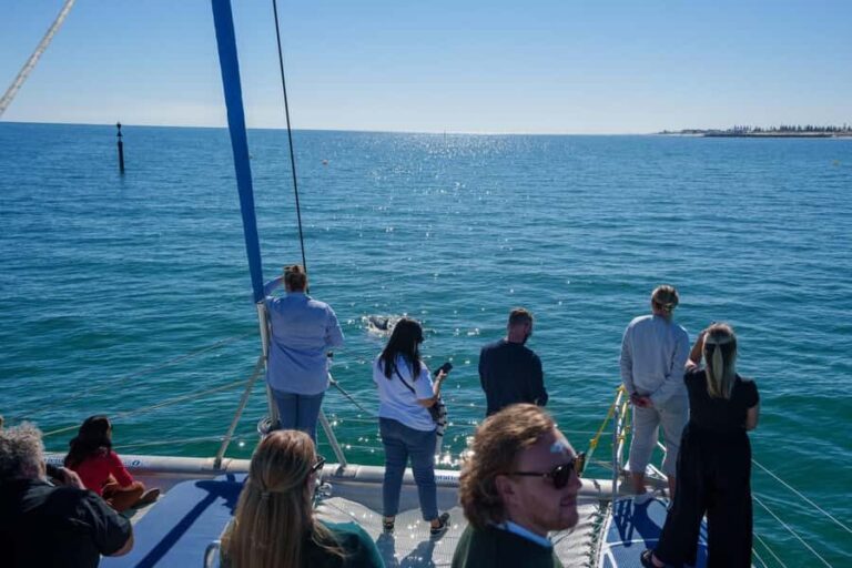 Adelaide: Kauwi Cultural Cruise - A Scenic and Cultural Voyage Along Adelaide’s Coast