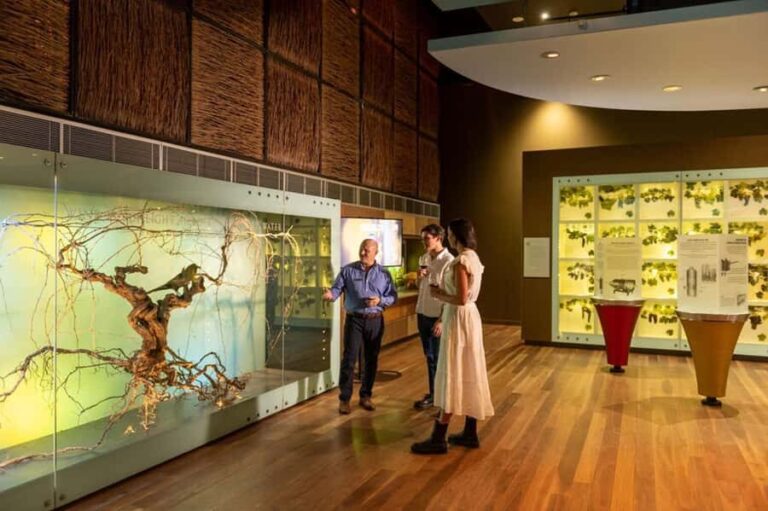 Adelaide: National Wine Centre Wine Discovery Journey - Exploring the Diversity of Australias Wine Regions