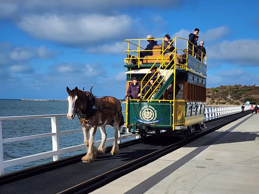 Adelaide: Premium Victor Harbor, Port Elliot and d'Arenberg - First stop: McLaren Vale for a quick refresh and local souvenirs