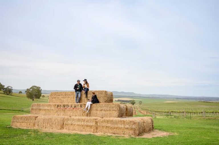 Adelaide: Small Group Tour of Barossa, Wineries with Lunch - What Travelers Say: Authentic Experiences and Guide Excellence