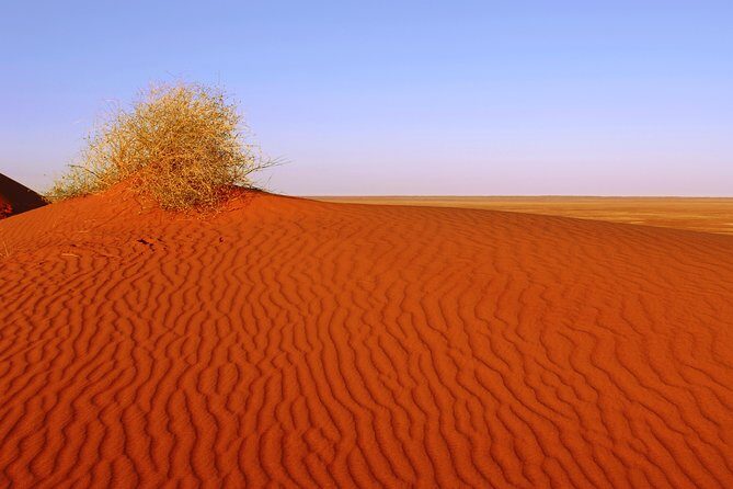 Adelaide to Coober Pedy 7-Day Small Group 4WD Eco Safari - What’s Included & What to Keep in Mind