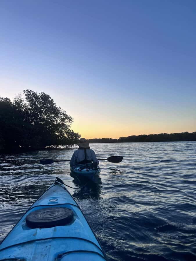 Adelaide: Twilight Mangrove Creek Kayak Tour - The Itinerary Breakdown