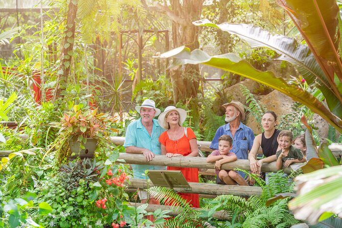 Adventure on a Budget Visit Kuranda or Palm Cove from Pt Douglas - What to Expect from the Tour