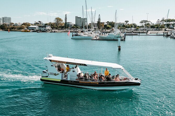 Adventure Rafting - Mooloolaba Turtle Tour - The Experience: What It Feels Like