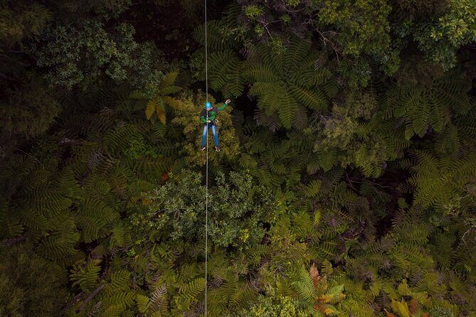 Adventurous Zipline Tour in Coromandel - FAQ