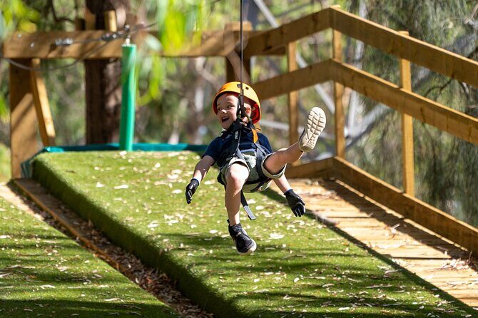 Aerial Fun & Ziplining for Our Littlest Adventurers in Salisbury - Summary: Who Should Consider This?
