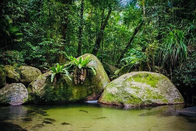 Affordable Return Mossman Gorge from Port Douglas Transfers - The Sum Up: Why Choose This Shuttle?