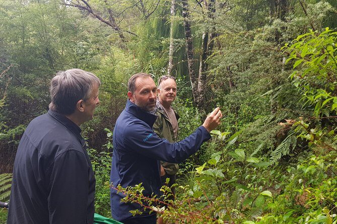 Afternoon Piha Beach and Rainforest Tour from Auckland - Who Will Love This Tour?
