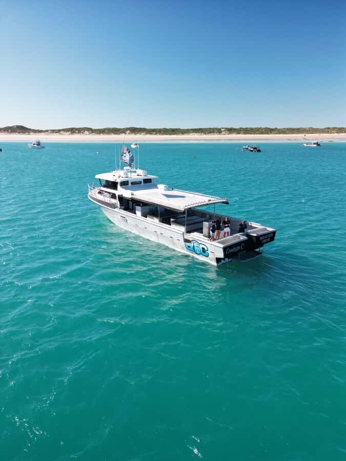 Afternoon Whale Watching Cruise in Broome - Practical Tips for Your Whale Watching Adventure