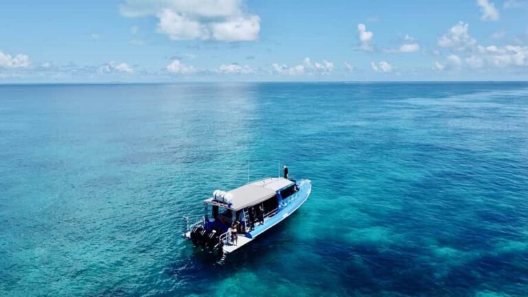 Agnes/1770: Southern Great Barrier Reef Snorkelling Day Trip - The Return Journey and Practicalities