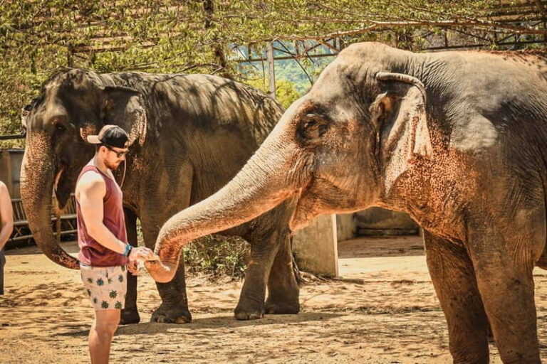 Agra: Sunrise Taj Mahal Tour & Elephant Sanctuary Day Tour - Why This Tour Works
