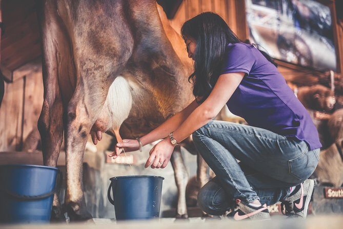 Agrodome Farm Experience including Farm Show and Farm Tour - Rotorua - Detailed Tour Breakdown