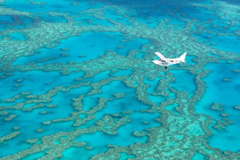 Airlie Beach: Fly Raft Package w Scenic Flight & Snorkeling - What Makes This Tour Stand Out?