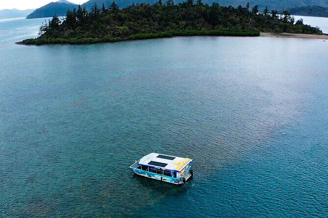 Airlie Beach Glass Bottom Boat Guided Night Tour - What Do You See and Experience?
