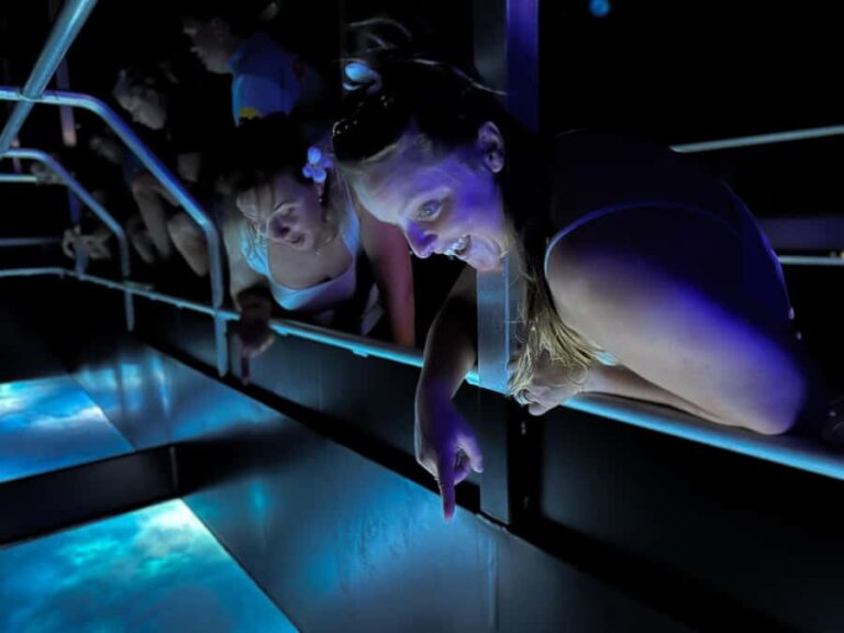 Airlie Beach: Glass-Bottom Boat Night Tour - Who Will Love This Tour