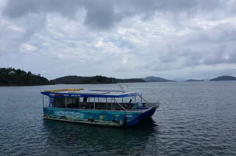 Airlie Beach: Glass-Bottom Boat Tour - Why This Tour Works Well