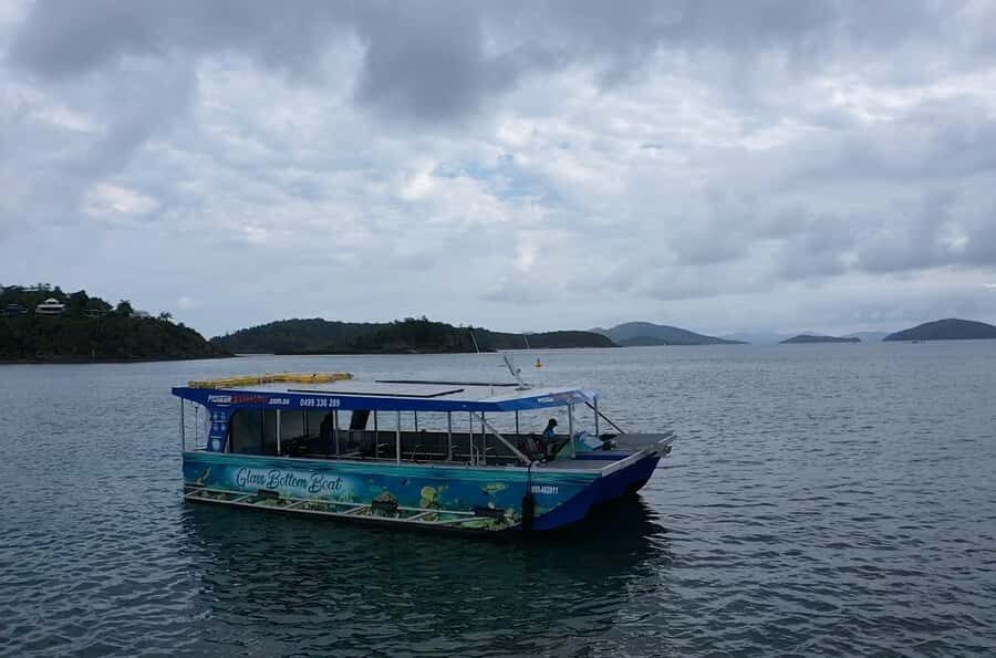 Airlie Beach: Glass-Bottom Boat Tour - Why This Tour Works Well