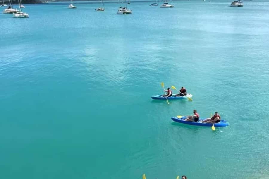Airlie Beach: Half Day Turtle Tour Sea Kayaking Adventure - Price and Value