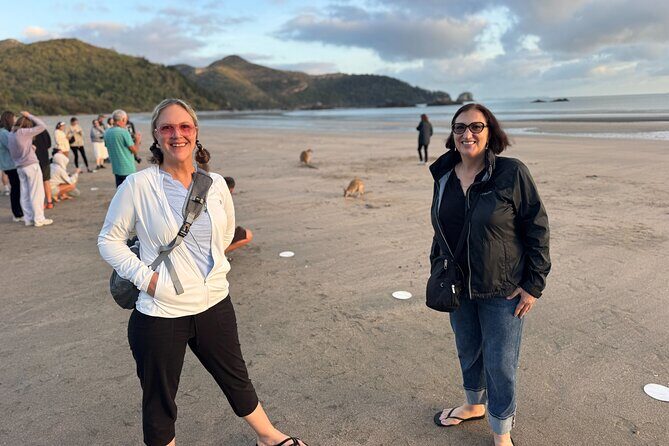 Airlie Beach: Kangaroos on the beach at dawn. - The Value of This Tour