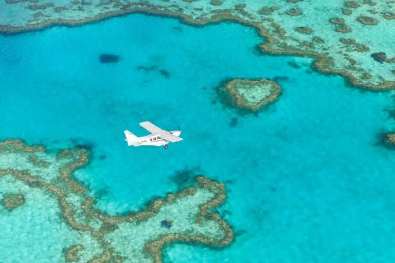 Airlie Beach: Whitsundays & Heart Reef Scenic Flight - What to Expect During Your Flight