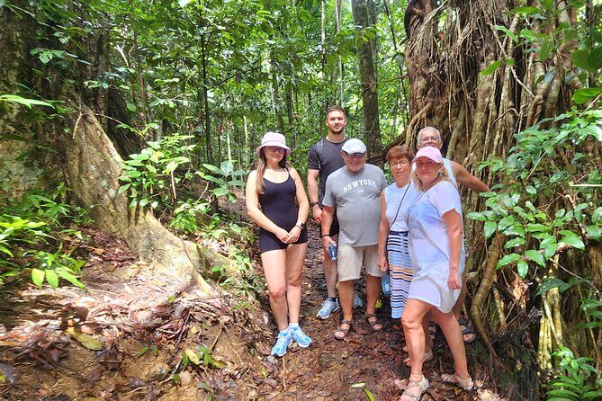 Airlie Waterfalls & Rainforest Bushwalk Eco Adventure - What’s Included and What’s Not