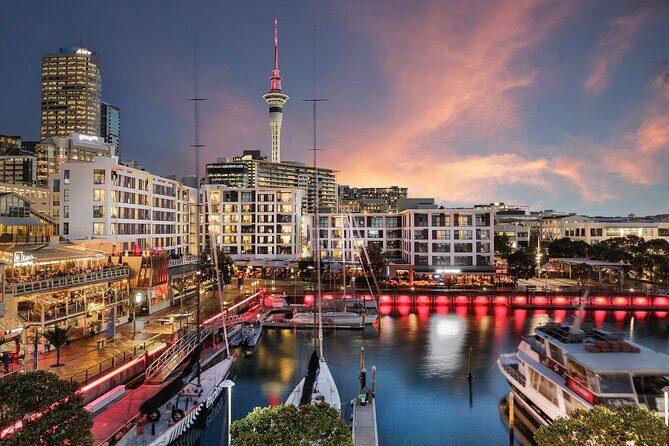 Airport Transfer: Auckland Airport AKL to Auckland by Luxury Van - What is the Experience Like?