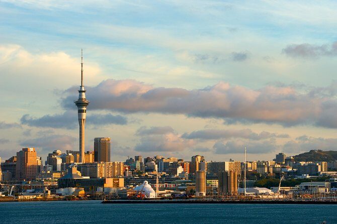 Airport Transfer: Auckland Airport AKL to Auckland by Sedan Car - Meeting Points and Logistics