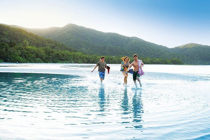 AIRPORT TRANSFER between Cairns Airport & Port Douglas (6am-5pm) - Vehicle and Comfort: What Travelers Can Expect
