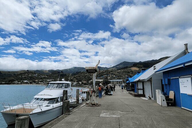 Akaroa and Akaroa Dolphins Day Tour - What’s Included and What’s Not