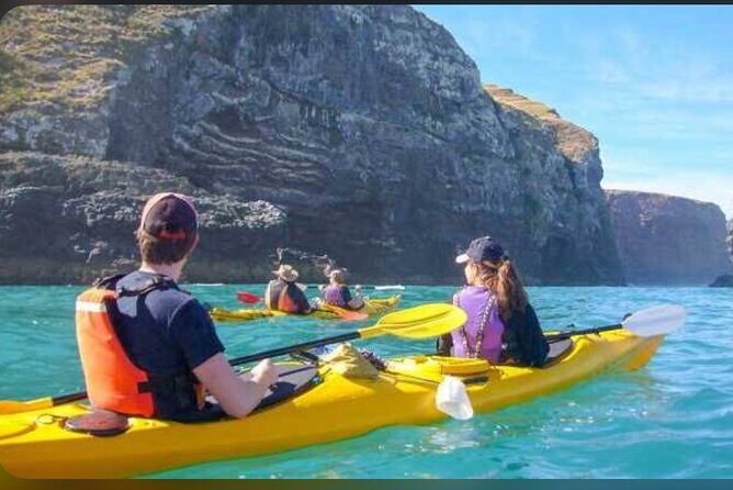 Akaroa Day Tour From Christchurch - Practical Considerations