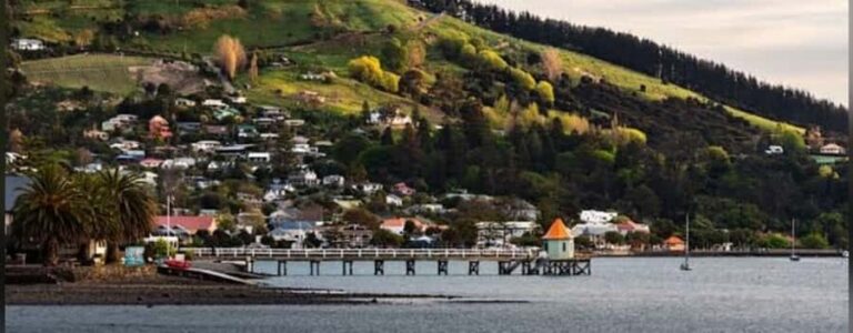 Akaroa Day Tour From Christchurch - The Practical Side: What to Expect