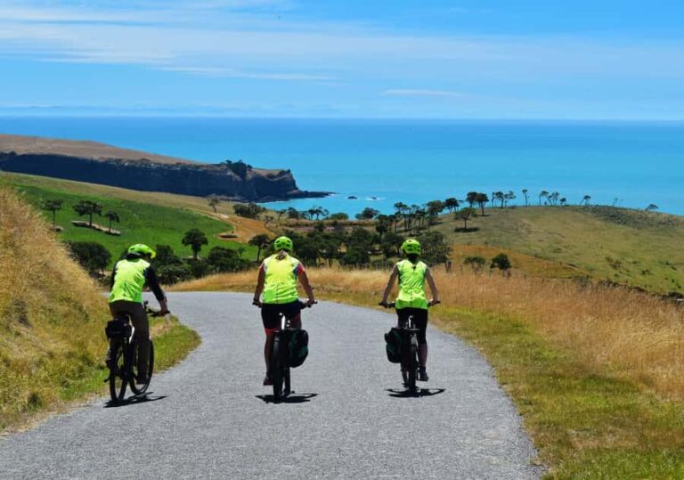 Akaroa: Electric Mountain Bike and Sea Kayak Adventure - Exploring the Itinerary: What to Expect