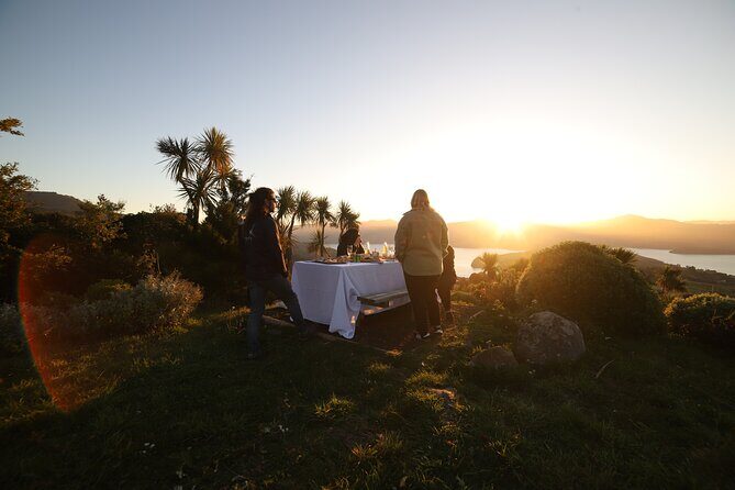 Akaroa Evening Stargazing & Daytime Solar Viewing Tour + Dinner - What’s Included & What to Consider