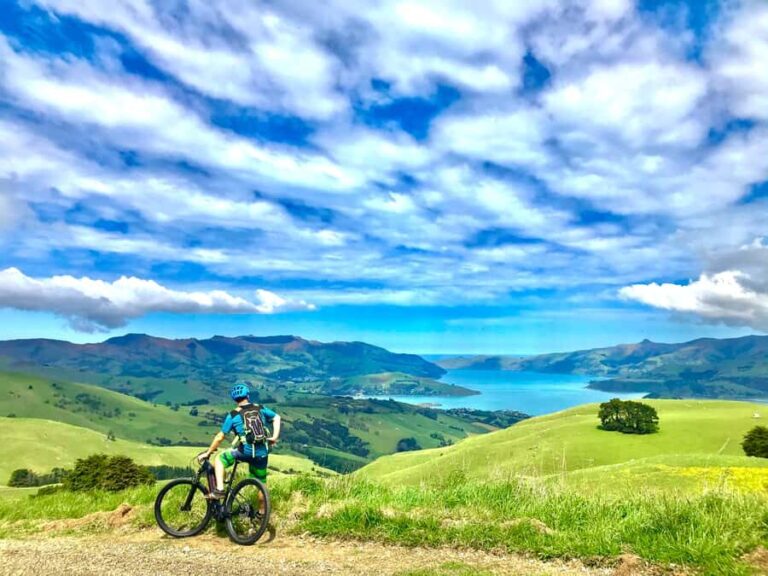 Akaroa Explorer: Guided Electric Mountain Bike Tour - The Sum Up